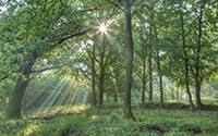 Fietsroute dwars door Nationaal Park Veluwezoom